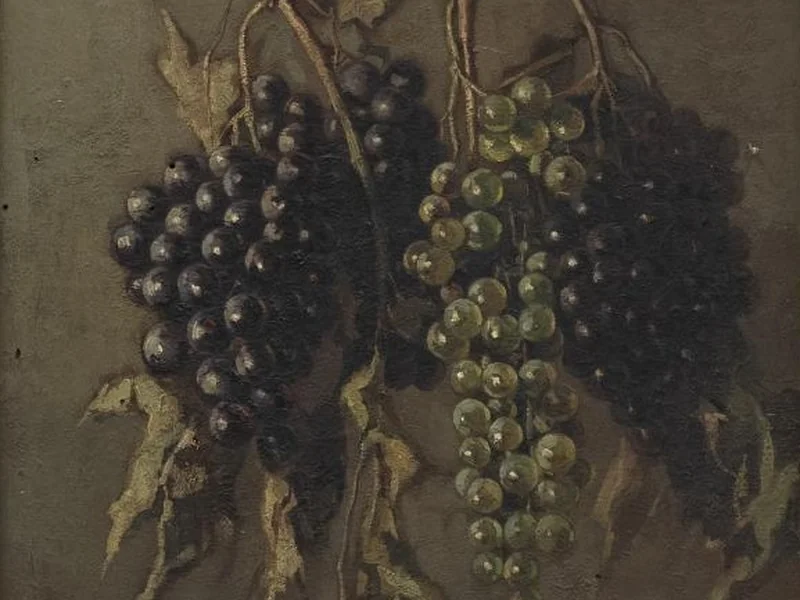 1898-Betto Tesei - Grappoli d'uva